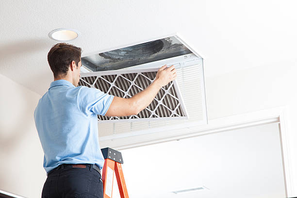 Best HVAC air duct cleaning  in Stewartville, MN